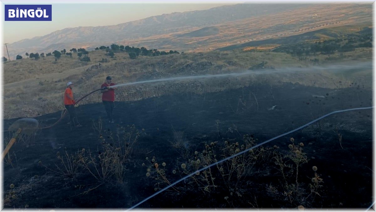 Bingöl'de yangın ormana sıçramadan söndürüldü