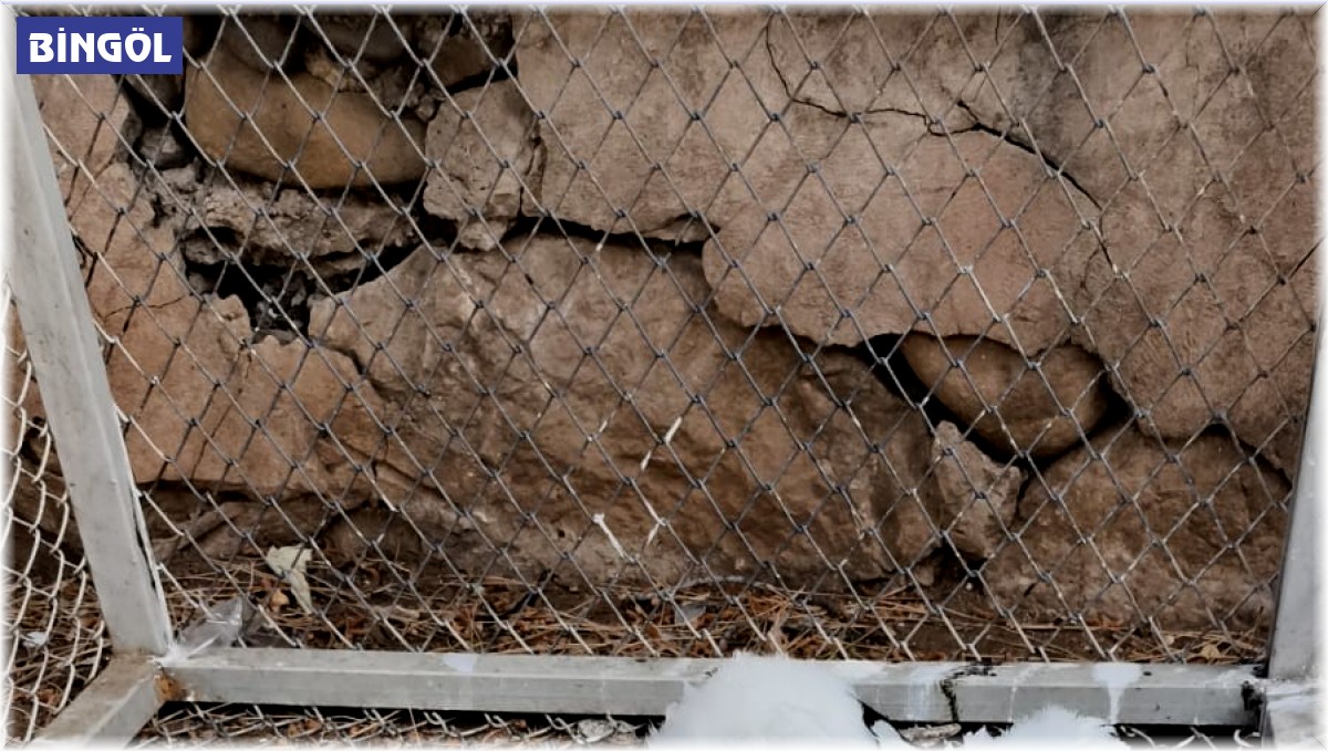 Bingöl'de yaralı bulunan yavru leylek tedavi altına alındı