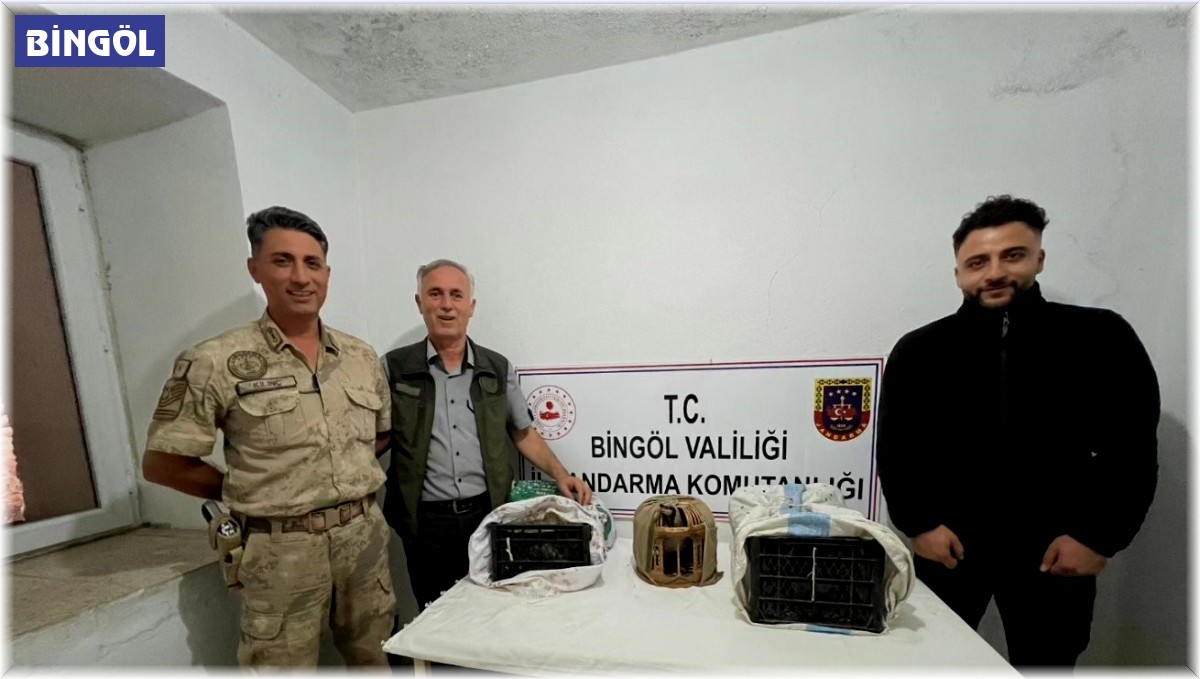 Bingöl'de yasa dışı avlanan 23 adet kınalı keklik ele geçirildi