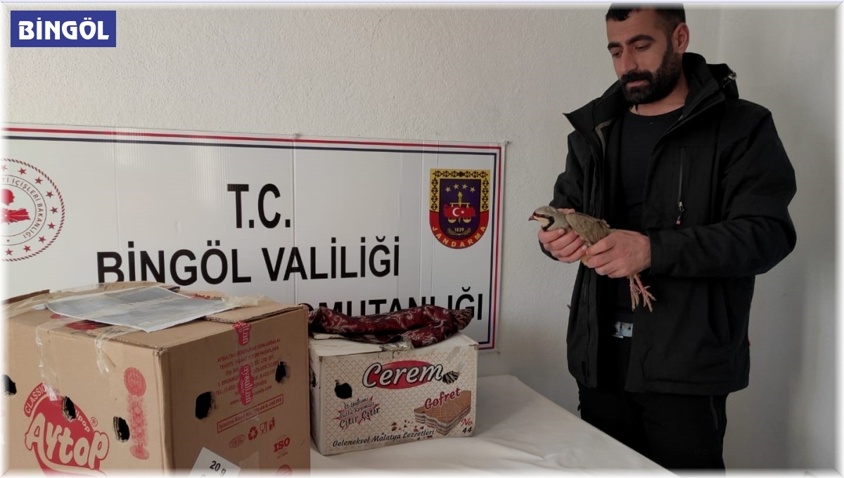 Bingöl'de yasak şekilde avlanan 13 adet kınalı keklik ele geçirildi