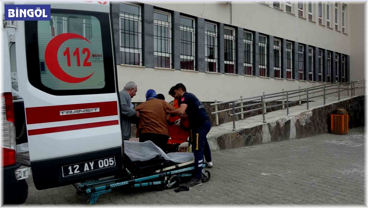 Bingöl'de yaşlı ve hastalar ambulansla sandığa götürülüyor