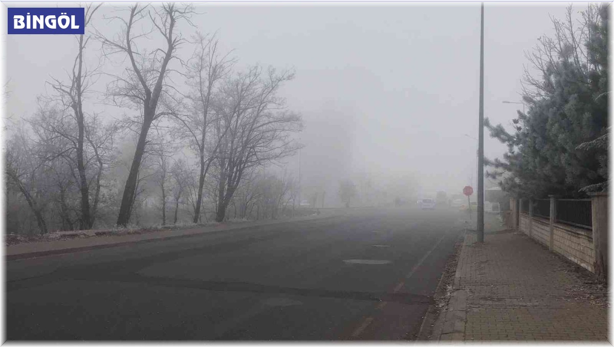 Bingöl'de yoğun sis etkili oldu