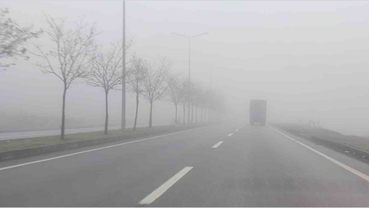 Bingöl'de yoğun sis etkili oldu