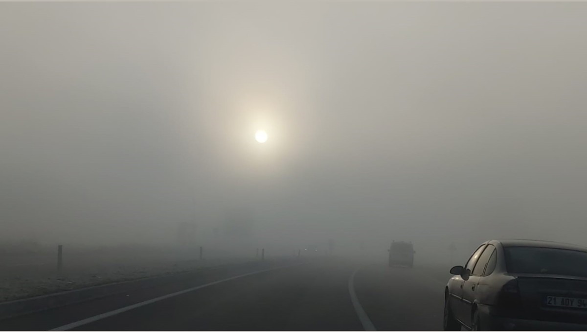 Bingöl'de yoğun sis: Görüş mesafesi 10 metreye düştü