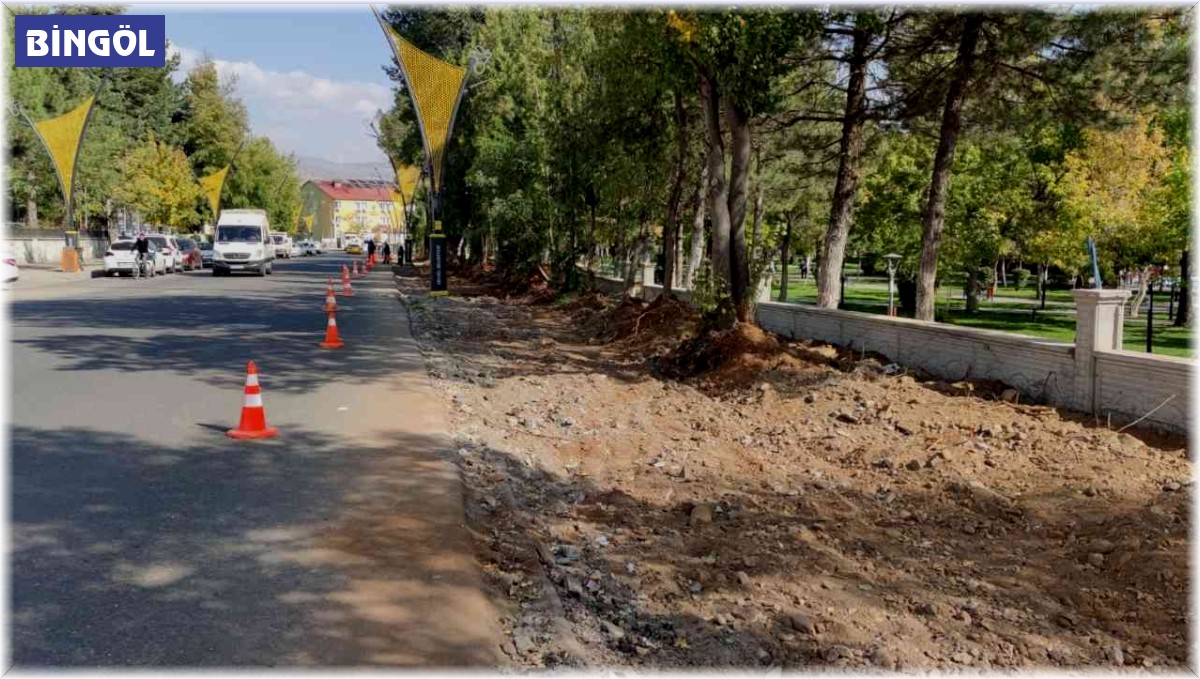 Bingöl'de yol çalışmaları sürüyor