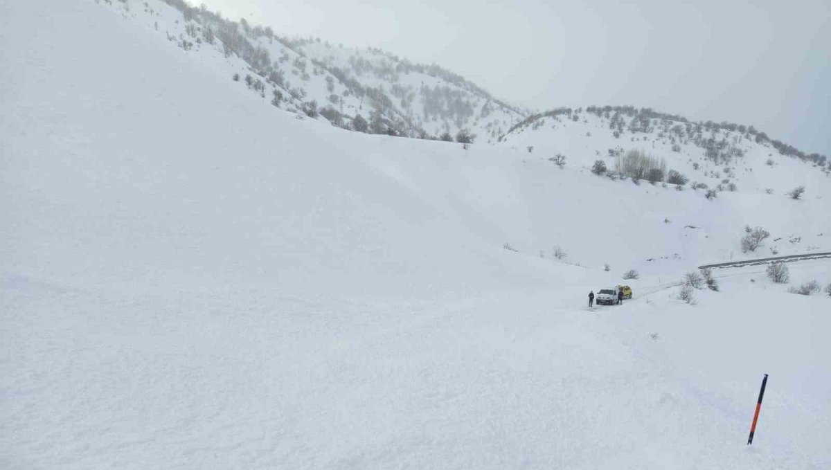 Bingöl'de yola düşen çığ ekipler tarafından temizlendi