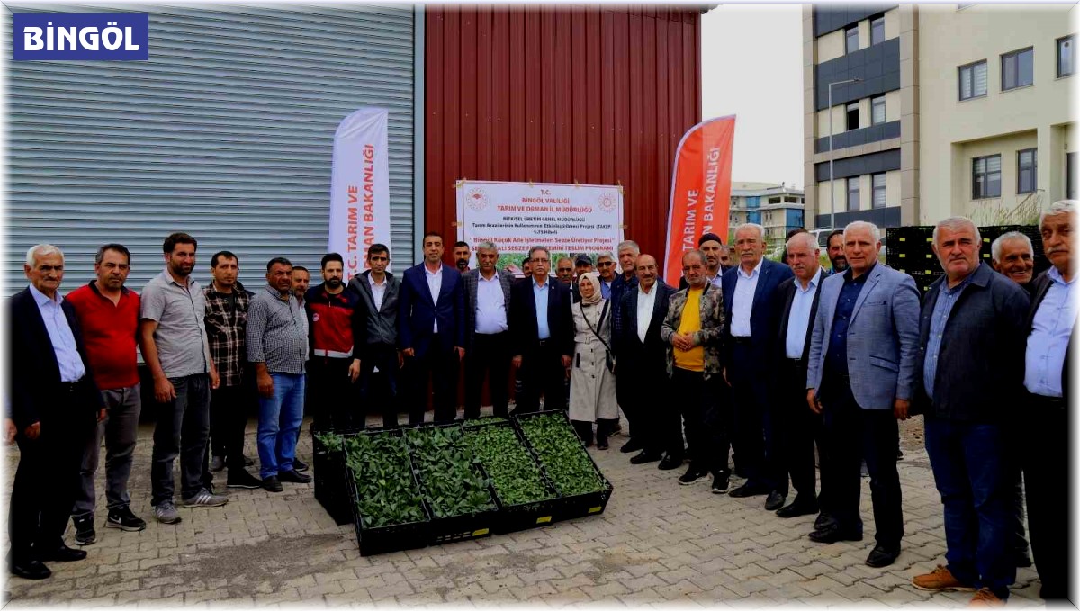 Bingöl'de yüzde 75 hibe ile 630 bin sebze fidesi dağıtıldı