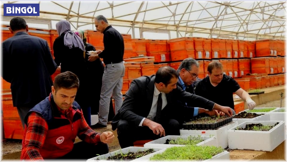 Bingöl'de yüzde 75 hibe ile 750 bin adet fide dağıtılacak