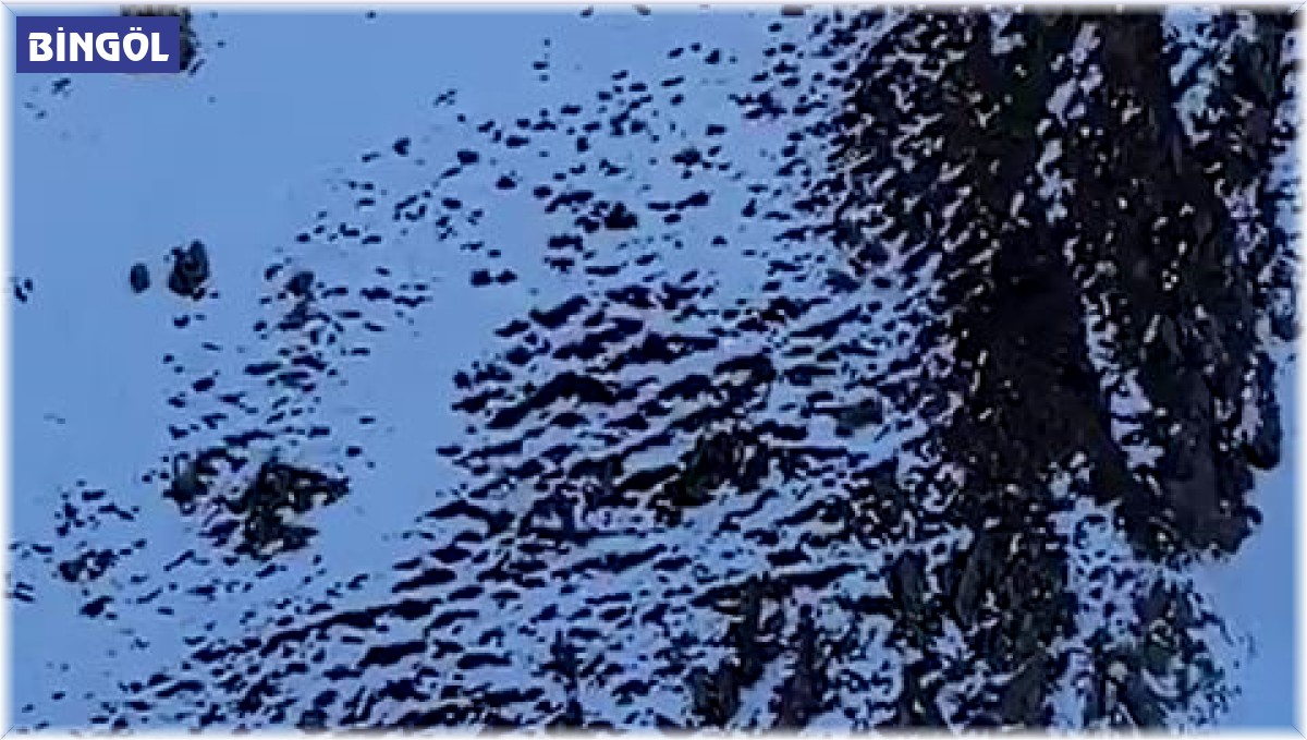 Bingöl'deki çığda kayıp şahsı arama çalışmaları devam ediyor