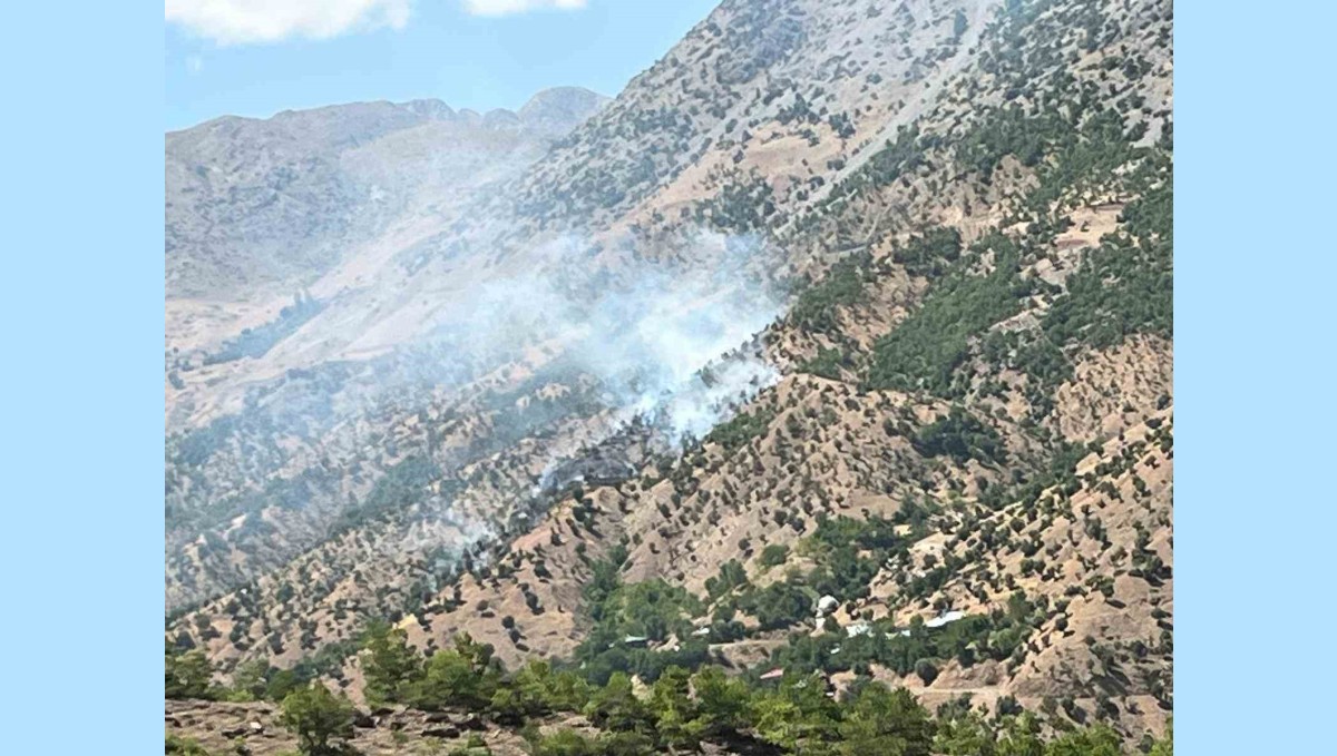 Bingöl'deki orman ve arazi yangınları söndürüldü