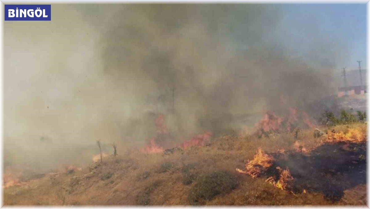 Bingöl'deki orman yangın söndürüldü
