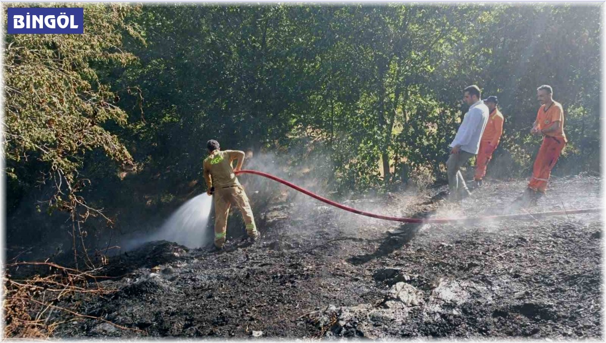 Bingöl'deki orman yangını büyümeden söndürüldü