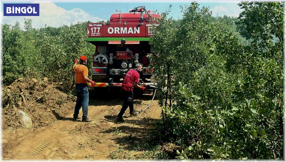 Bingöl'deki orman yangını erken müdahaleyle büyümeden söndürüldü