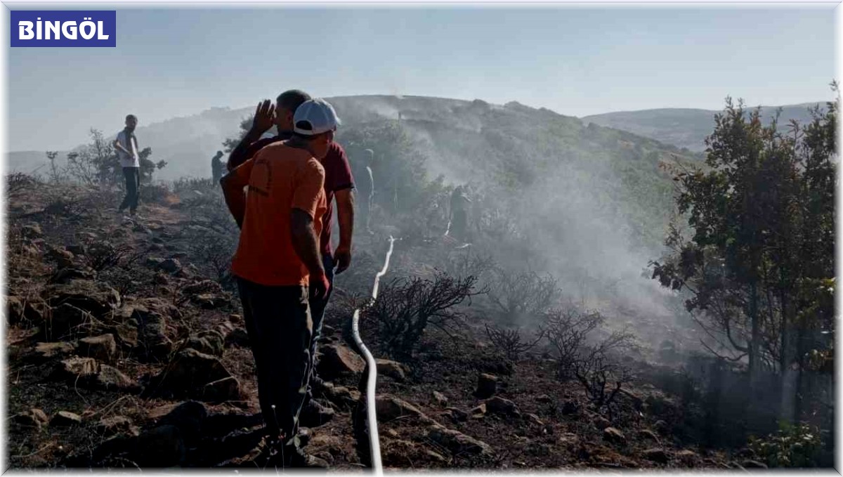 Bingöl'deki orman yangını kontrol altına alındı