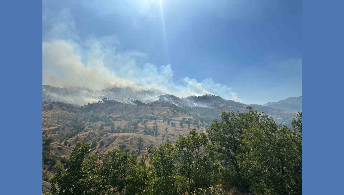Bingöl'deki orman yangını kontrol altına alındı