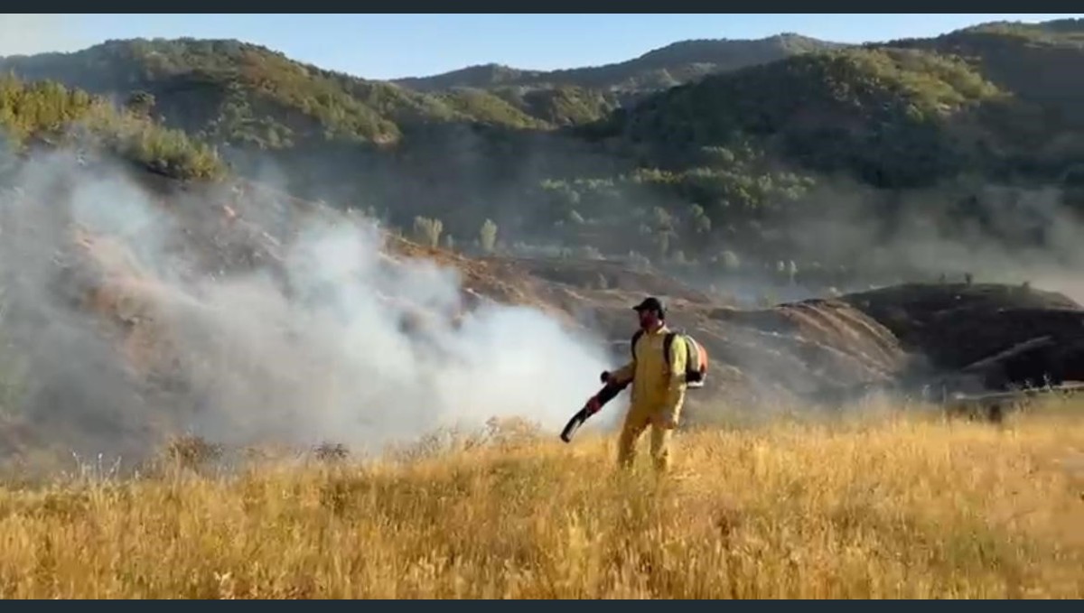Bingöl'deki orman yangını kontrol altına alındı