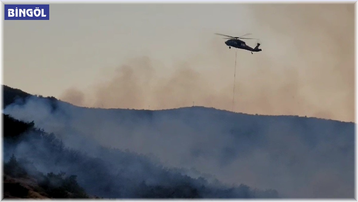 Bingöl'deki orman yangını kontrol altına alındı, soğutma çalışmaları yapılıyor
