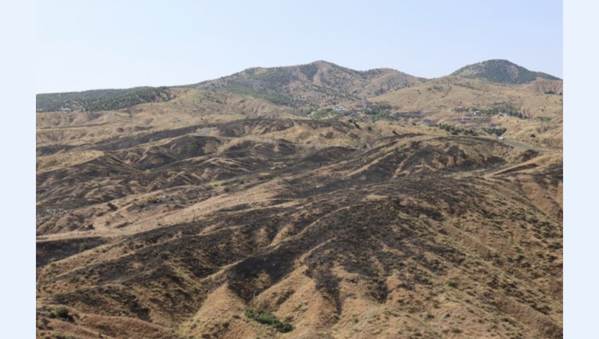 Bingöl'deki orman yangını söndürüldü