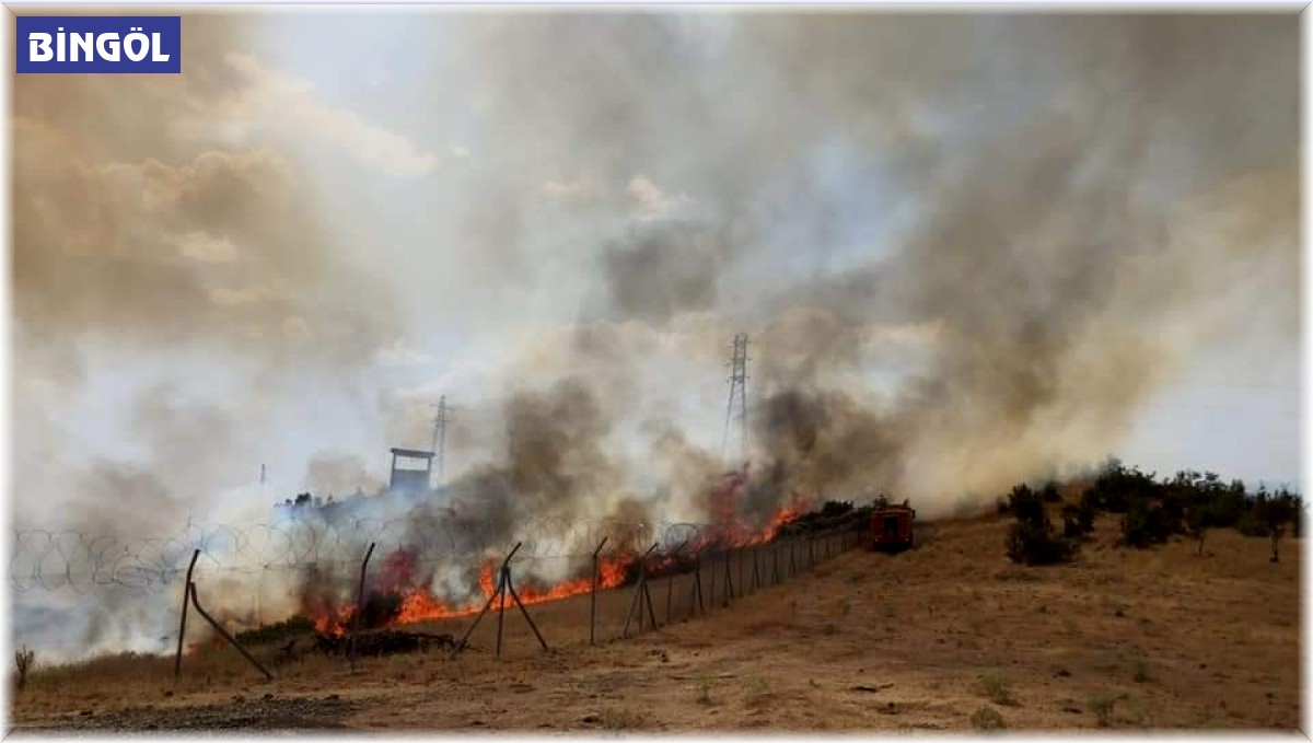 Bingöl'deki orman yangını söndürüldü