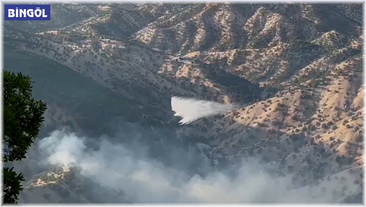 Bingöl'deki orman yangınına havadan ve karadan müdahale sürüyor