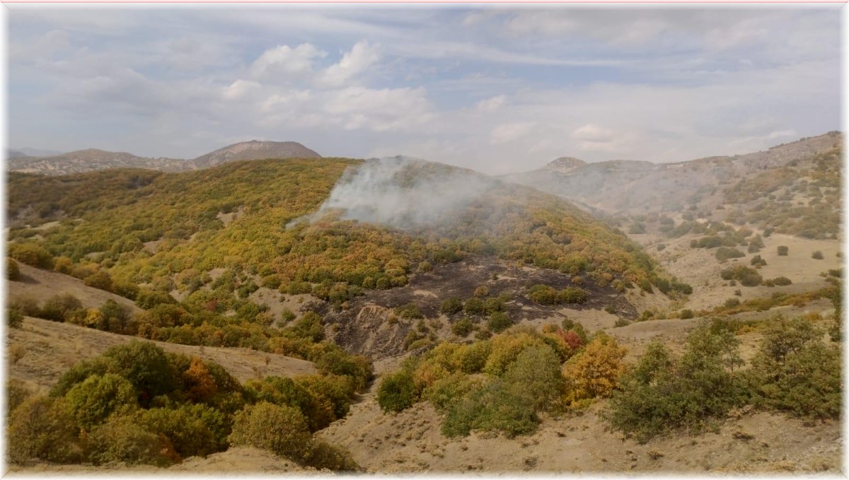 Bingöl'deki orman yangınları kontrol altına alındı