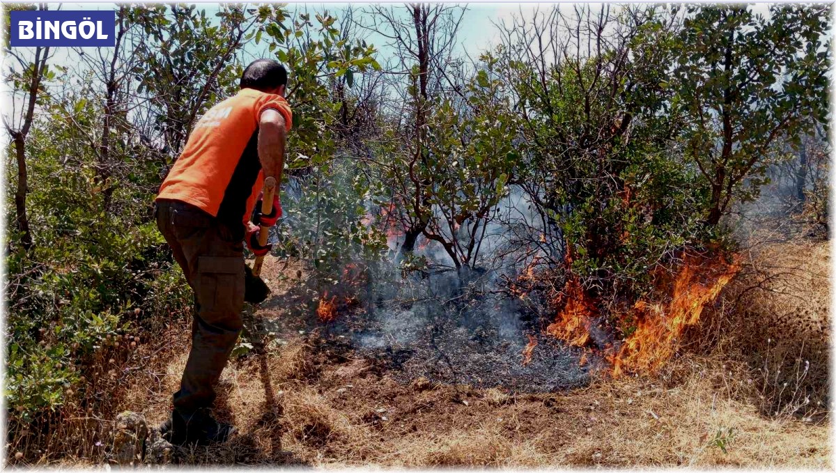 Bingöl'deki orman yangınları söndürüldü