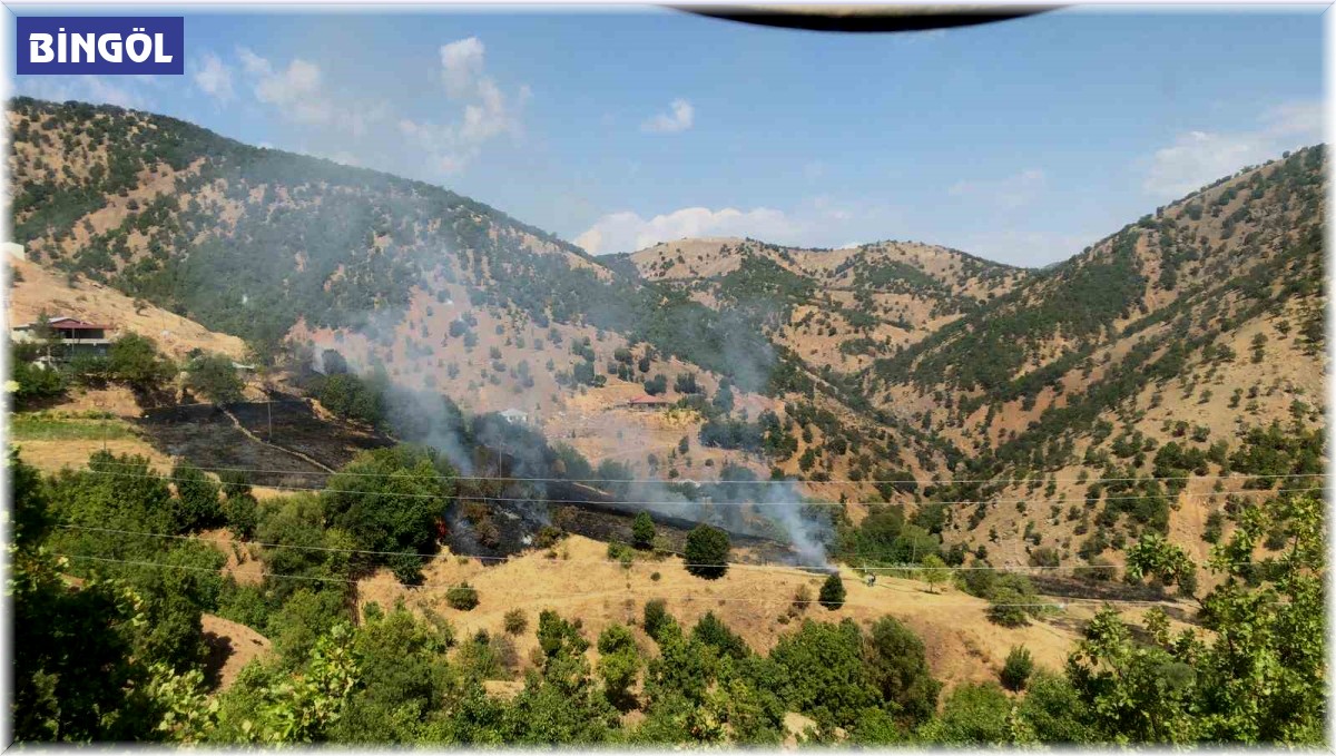 Bingöl'deki örtü yangını evlere sıçramadan söndürüldü