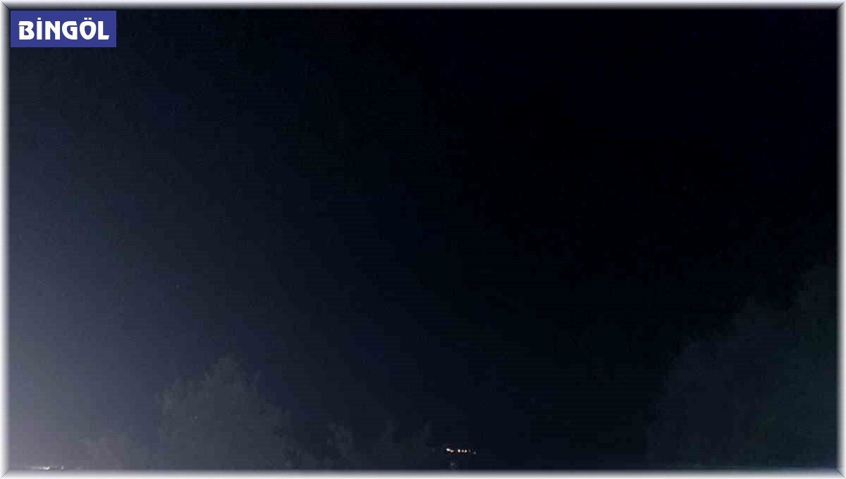 Bingöl'deki örtü yangınında arı kovanları da zarar gördü