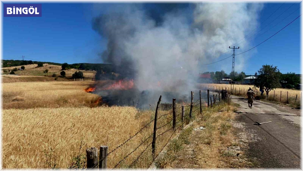 Bingöl'deki tarla yangını söndürüldü