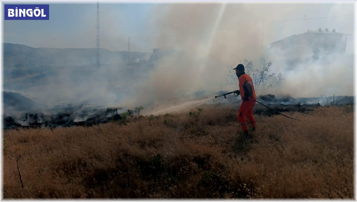 Bingöl'deki yangın ormanlık alana sıçramadan söndürüldü