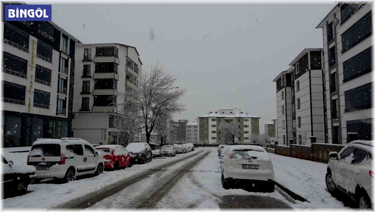 Bingöl merkez ve ilçelerinde mart sonunda kar sürprizi