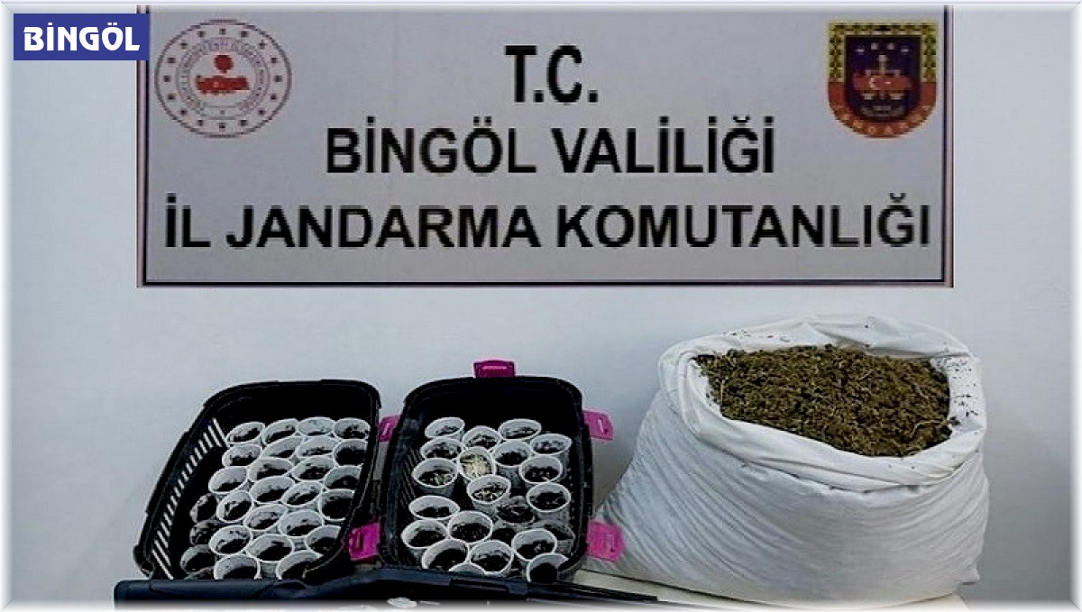 Bingöl merkezli iki ilde 'kökünü kurutma operasyonu': 15 gözaltı