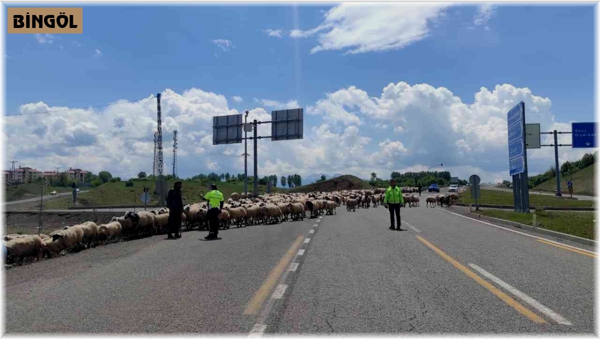 Bingöl polisi, karayolda ilerleyen göçerlerin güvenliğini sağladı
