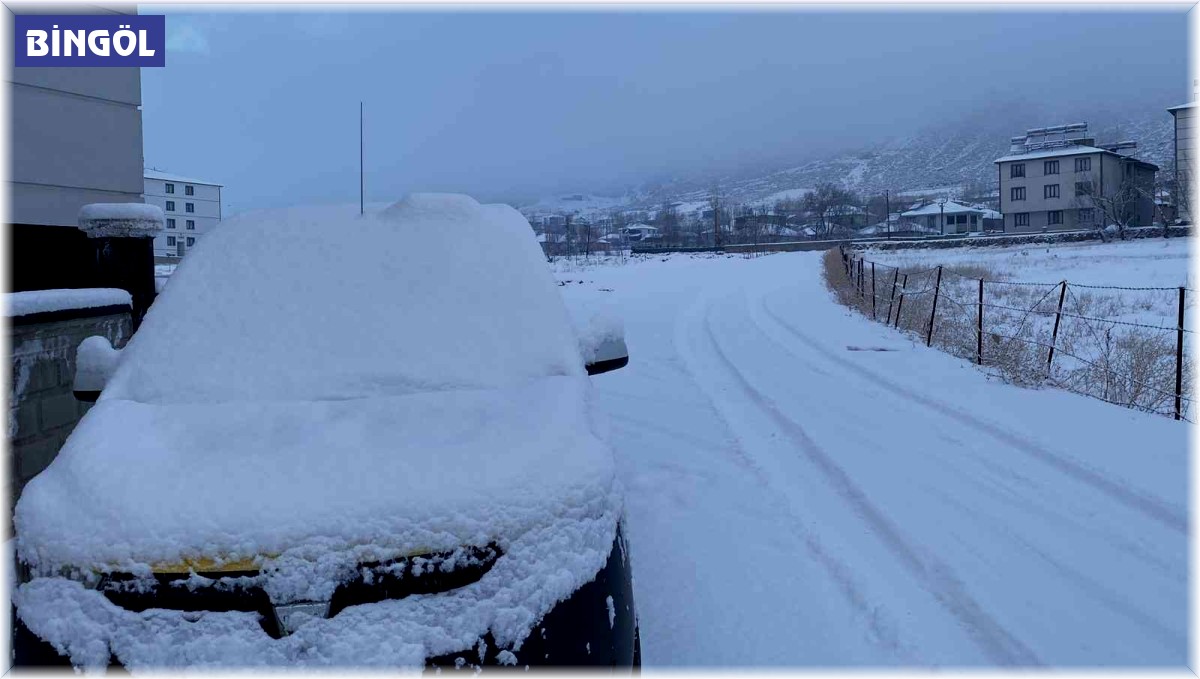 Bingöl'ün Karlıova ilçesi beyaza büründü