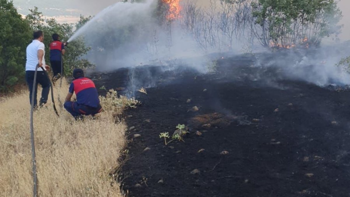 Bingöl'ün köylerinde çıkan orman yangını söndürüldü