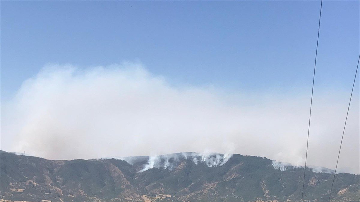Bingöl Valiliği: 'Yaklaşık 2 bin-2 bin 500 hektar alanın yangından etkilendiği değerlendirilmektedir'