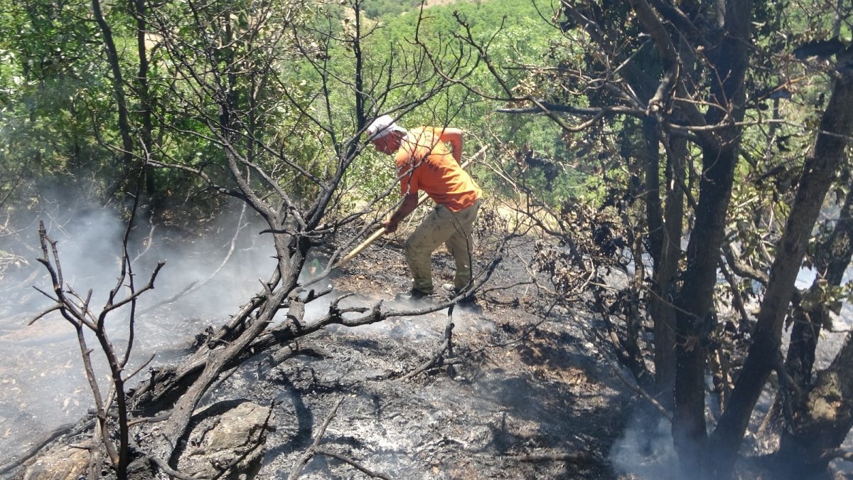 Bingöl Valiliği: "Yangın kontrol altına alındı"