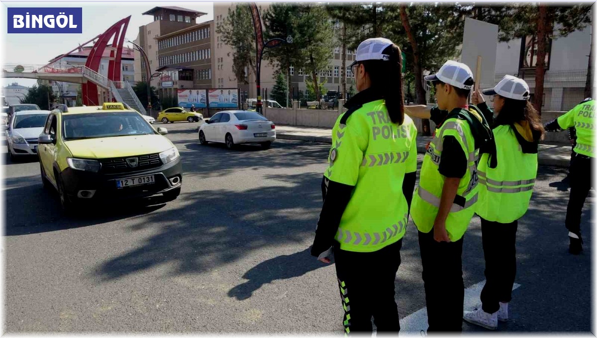 Bingöl Valisi Usta: "Yayaların güvenliğini tehlikeye düşüren her türlü taşıt sahibine ceza vermekten imtina etmeyeceğiz"