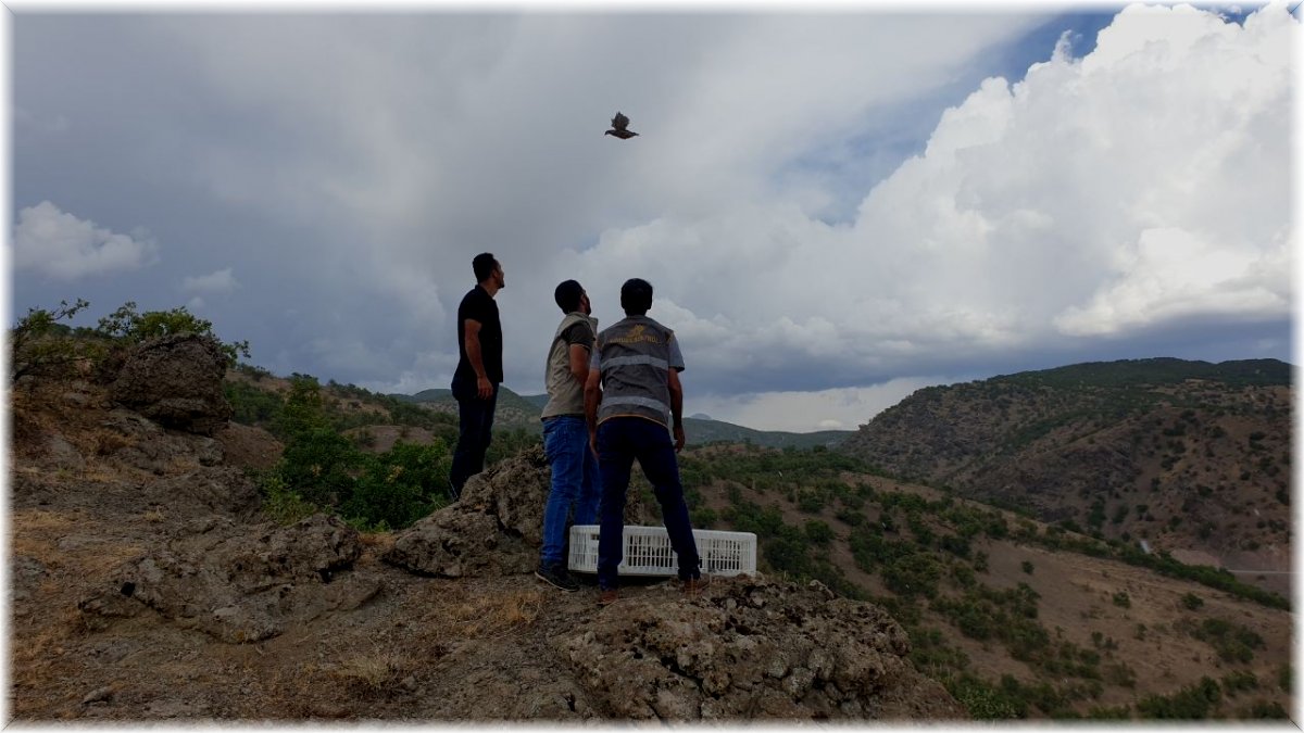 Bingöl’de 400 keklik doğaya salındı