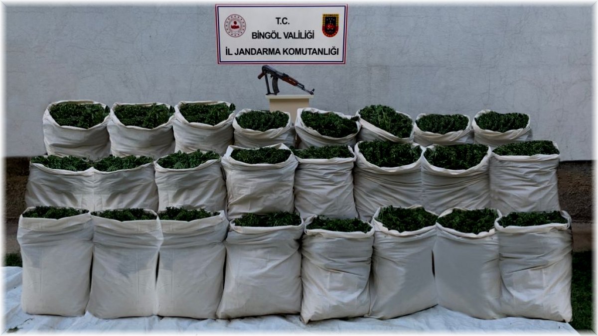 Bingöl’de 665 kilo esrar, 10 bin kök kenevir ele geçirildi