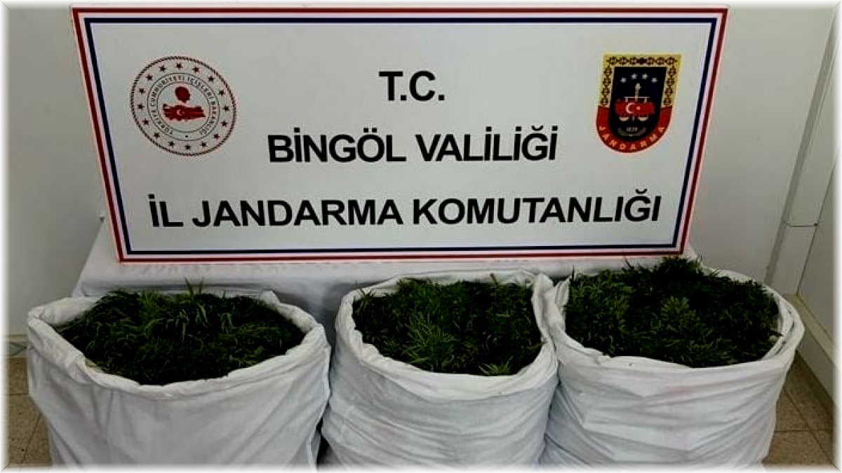 Bingöl’de 84 kilogram esrar ele geçirildi