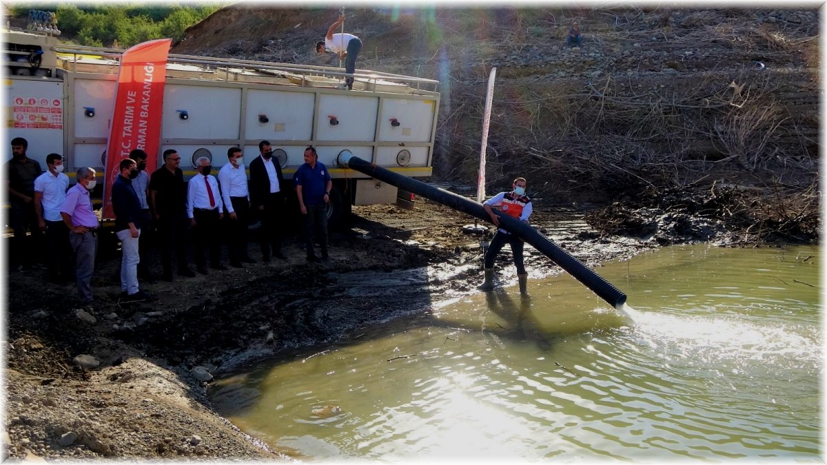 Bingöl’de baraj ve göletlere 1 milyon 200 bin yavru sazan bırakıldı