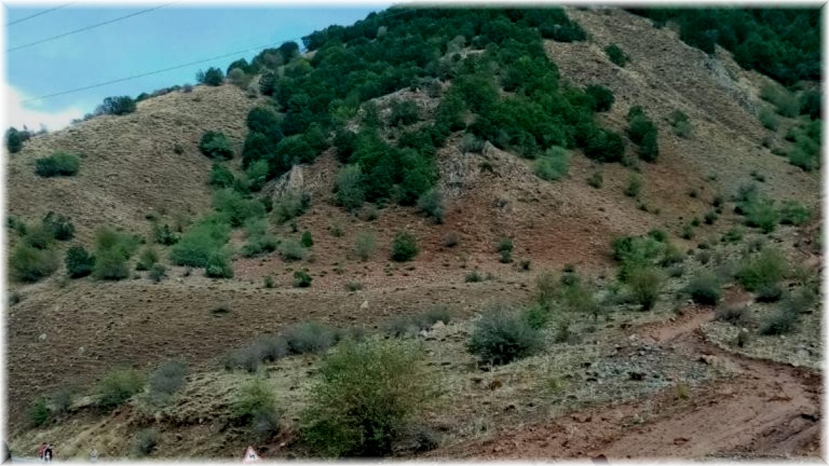 Bingöl’de heyelan nedeniyle kapanan yollar ulaşıma açıldı