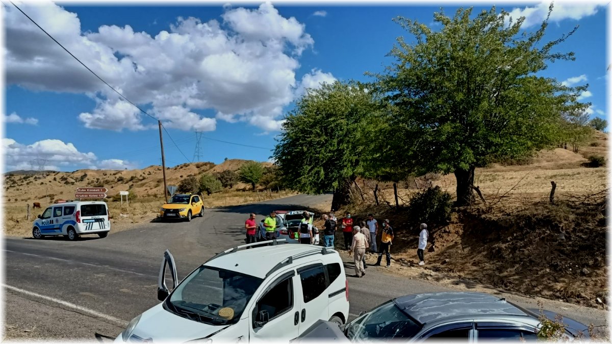 Bingöl’de iki araç kafa kafaya çarpıştı: 2 yaralı