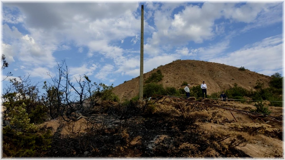 Bingöl’deki orman yangını söndürüldü