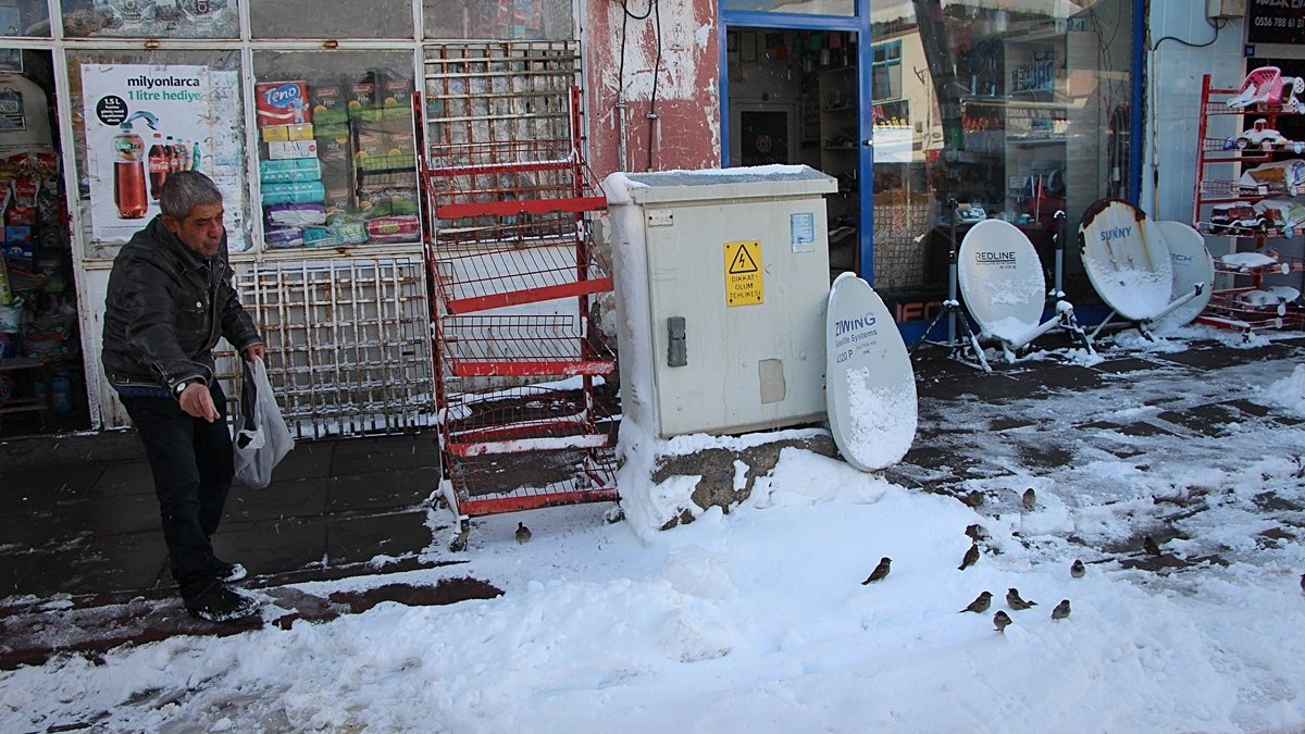 Bingöllü bakkal dükkanın önündeki serçeleri yemsiz bırakmıyor