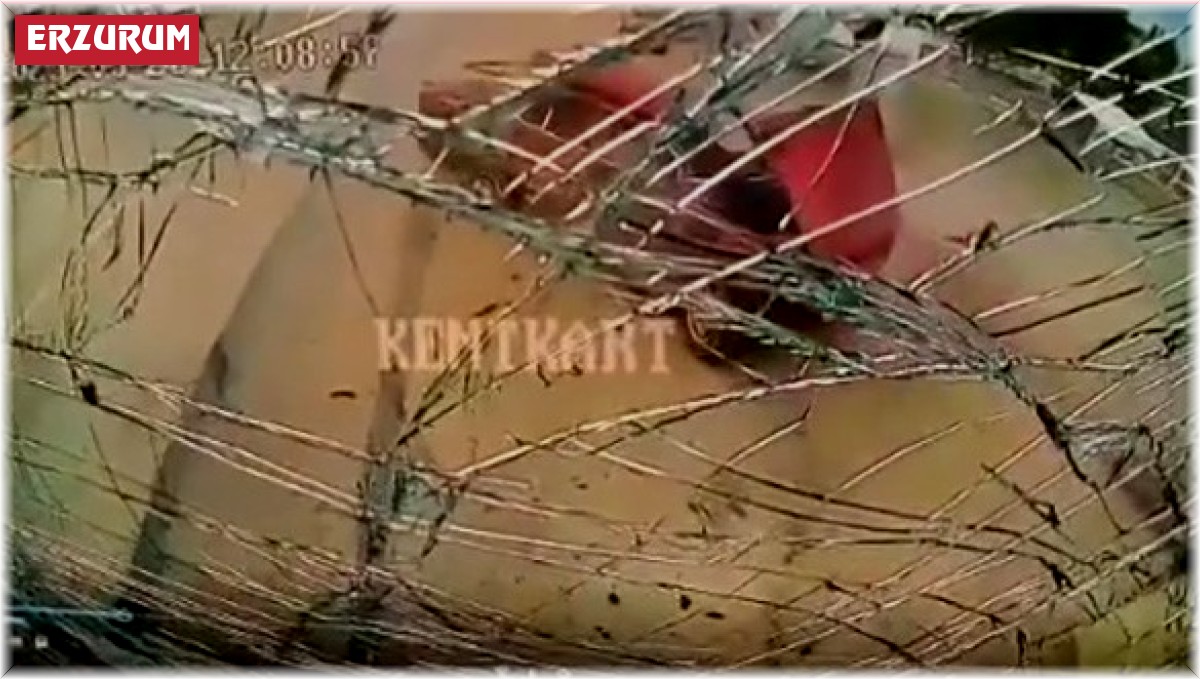 Bir kişinin hayatını kaybettiği trafik kazası kameralara yansıdı