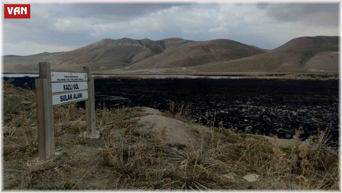 Birçok kuş türüne ev sahipliği yapan Kazlıgöl sazlığı yandı