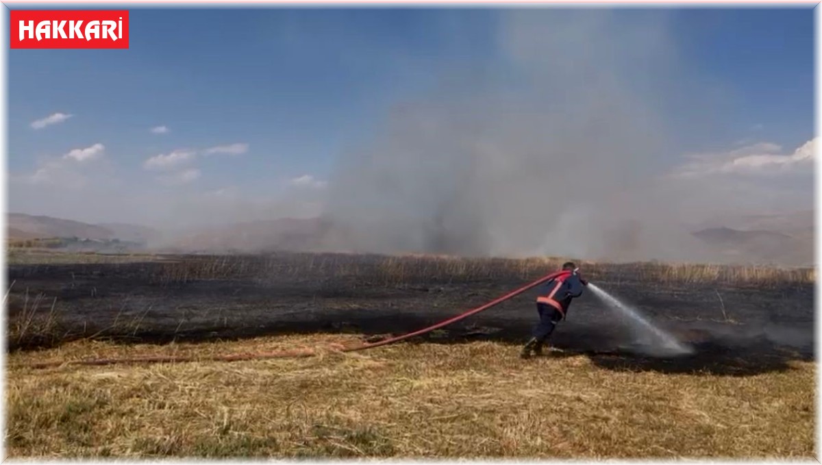 Birçok kuş türüne ev sahipliği yapan Nehil Sazlığı'nda yangın