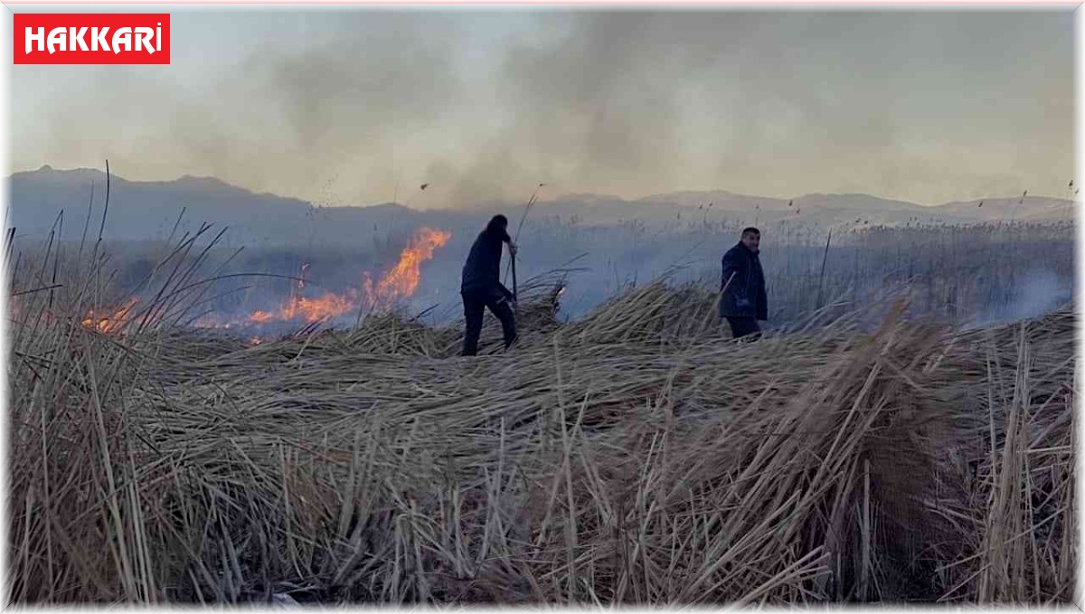 Birçok kuş türünün yaşadığı Nehil Sazlığı'nda yangın